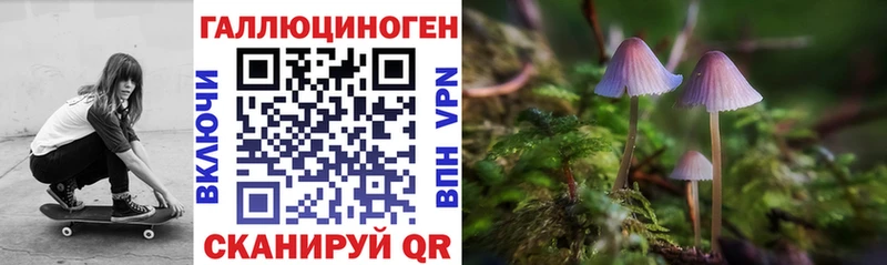 OMG маркетплейс  Чёрмоз  Галлюциногенные грибы Psilocybe 